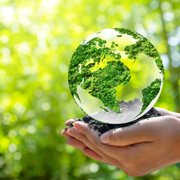 🌱 Trots op onze duurzame krafton brugdekplanken!